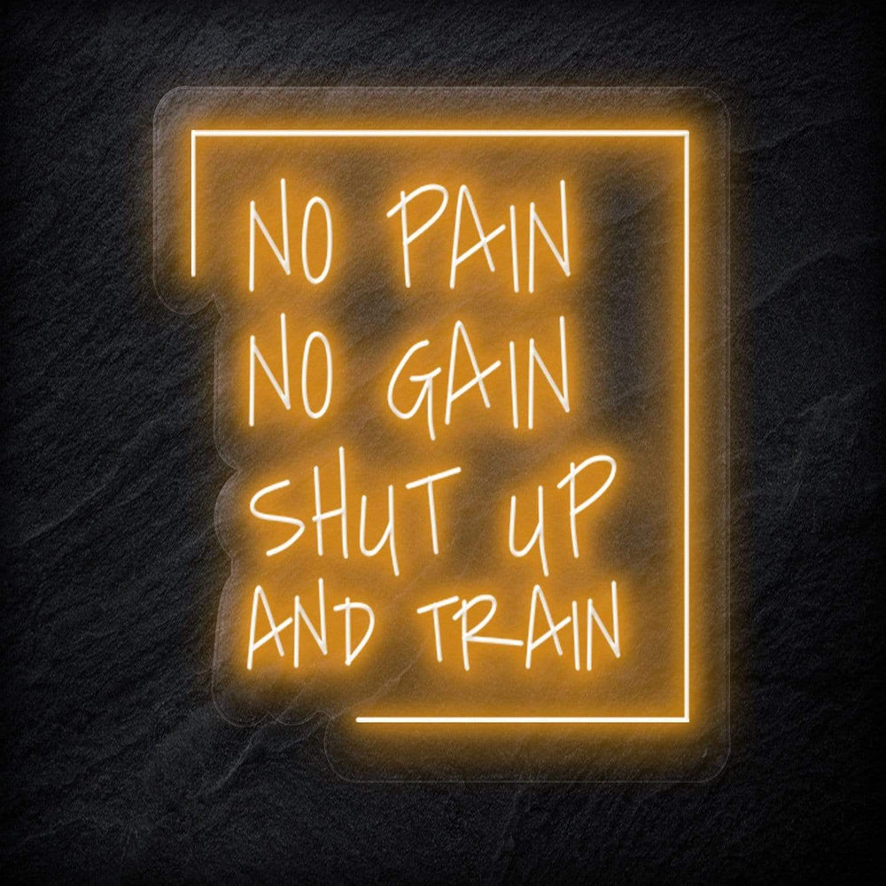 "No Pain No Gain " Neonschild Sign - NEONEVERGLOW